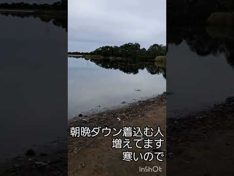 100日の北海道車中泊　ソロソロご帰還　あっという間でした、北海道ついた日帰る日に道の駅ウトナイ湖(40)