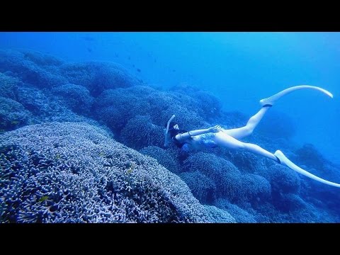 Freediving - Play in the coral forest! - Okinawa, Agenashiku, April 2015