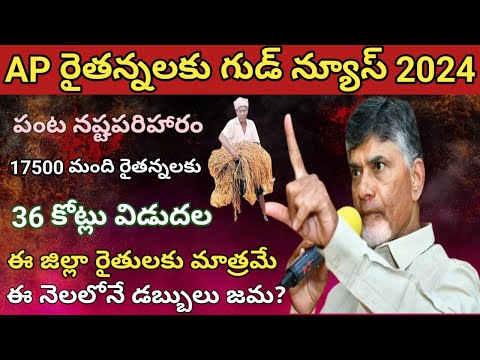 ap panta nastam status 2024 || panta nasta pariharam in ap 2024@ConnectingChandra