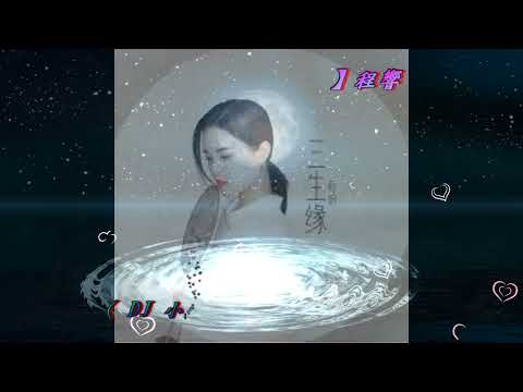 【 千里共嬋娟  dj 】程響 ( DJ 小鑫 ProgHouse Remix )