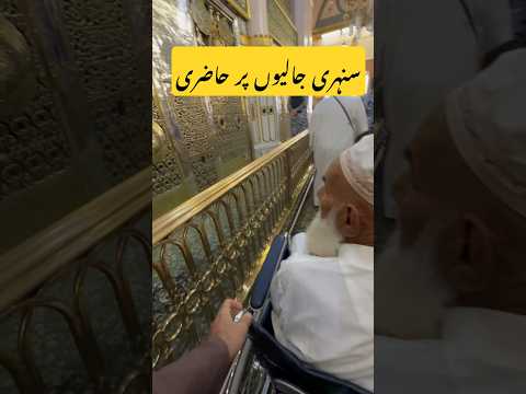 Salam at Roza sharif | roza Rasool SAWW | #umaisavlogs #religion #travel