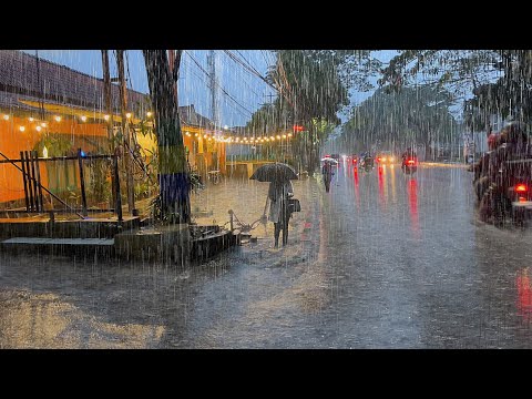 Heavy Rain in my cold Village | Very quiet, suitable for insomnia, walking in heavy rain