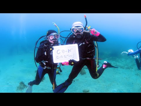 伊豆の海！夏だ！海だ！ダイビングだ！富戸で楽しく潜ってきましたよぉ！