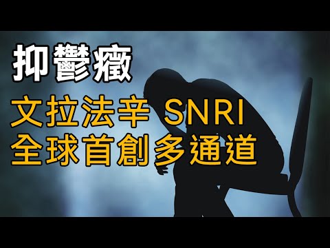 【抑鬱症與化學藥品研發歷史】第十二期：文拉法辛、全球首創SNRI、多通道