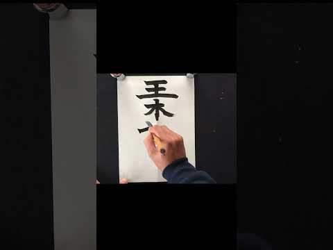 【玉木雄一郎に投票、、、一票無駄に】ユニークな有権者　#short 　＃習字　＃手書き