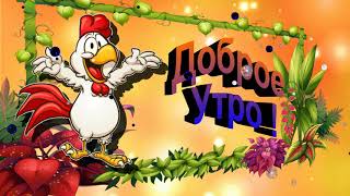 ДОБРОЕ УТРО# ОТЛИЧНОГО ПОНЕДЕЛЬНИКА #ФУТАЖ