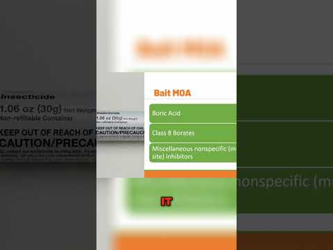 How Borates Kill Insects: Unveiling the Science