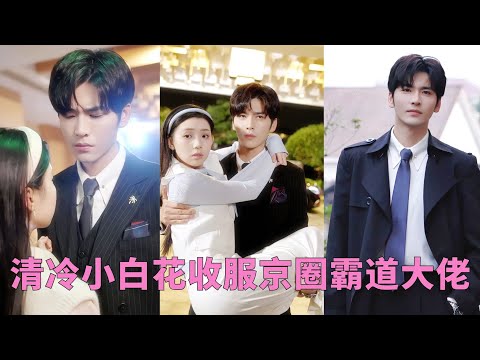 Cinderella got pregnant with CEO Wang Yiran's child and was married to him and spoiled by him