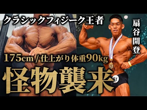 【規格外の怪物/扇谷開登】175cmで仕上がり90kg超え!! クラシックフィジーク日本王者がついにベールを脱ぐ！【ジュラシックカップ】