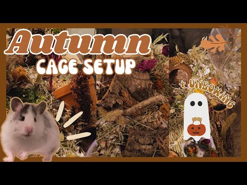 Autumn/Fall HAMSTER Cage Setup 🍂🍄🎃 // + hamster haul unboxing