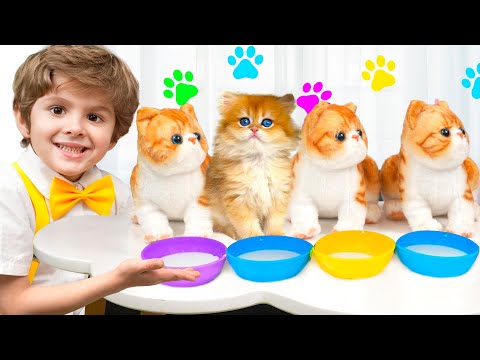 Eva and little brother want to have a pet and play with cat