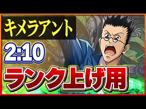 【キメラアント】レオリオ×サレーネで高速経験値稼ぎ！正月ノルディスでずらし周回！【パズドラ】