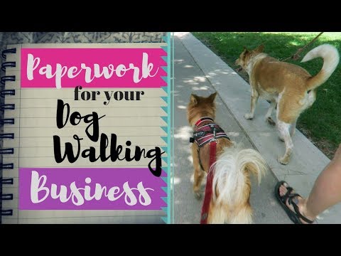 How to ORGANIZE Your Dog Walking Paperwork