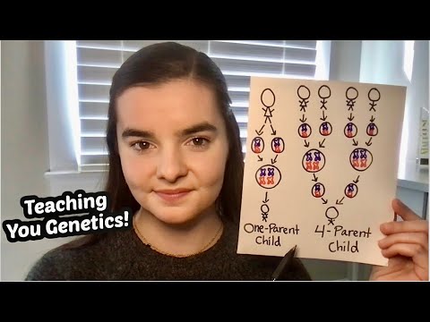 ASMR Teaching You About Genetics | Making a Baby with 1 Parent?