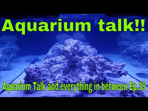 Aquarium talk