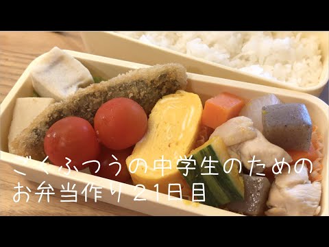 ２１日目♫ごく普通の中学生のためのお弁当づくり♫京都の煮物を目指した弁当♫