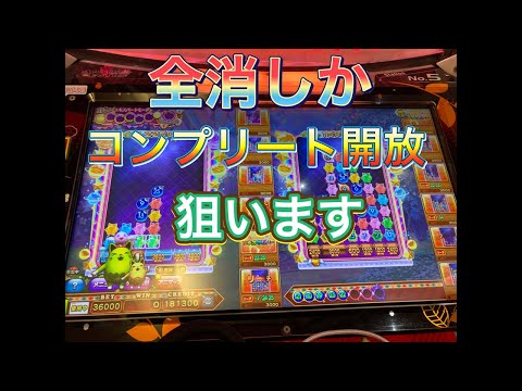 アニマロッタ 36000BETします　メダルゲーム配信