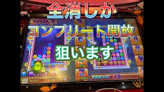 アニマロッタ 36000BETします　メダルゲーム配信