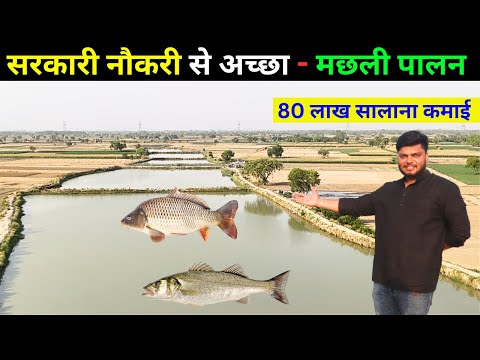 ये लड़का कैसे कमाता है मछली पालन से 80 लाख II Fish Farming II 300 बीघा में Fish Farming