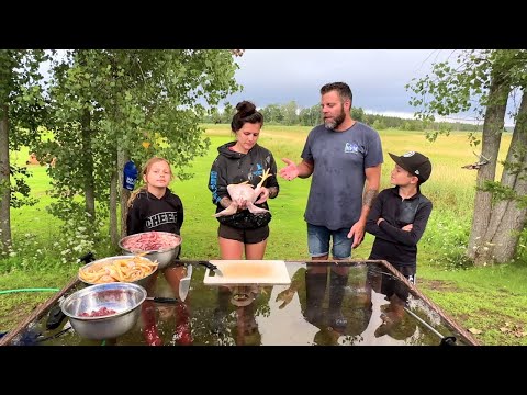 Processing Broilers (meat birds) On The Homestead 🐓 🍖