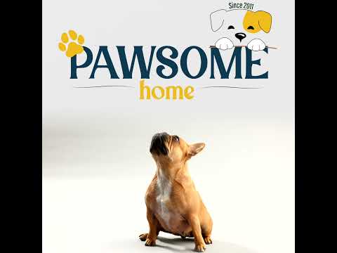 🎉 🐾 Drumroll, please... Welcome to the NEW Pawsome Home! 🐾✨