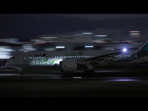 Green Jet ANA Boeing787-8 JA874A Night Session