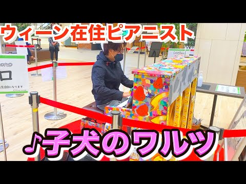 【ストリートピアノ】プロが東京ストピ旅へ！第一弾有明ガーデン！