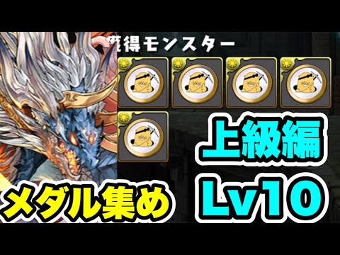 【駆け込み】メダル集め用‼️ マガジンコラボ上級編 Lv10 シヴァドラ周回編成・立ち回り紹介！！【マガジンコラボ】【パズル&ドラゴンズ/#パズドラ】