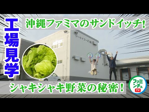 【ファミマのサンドイッチ】工場に潜入！手作業でシャキシャキレタスを選別？！