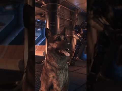 Dogmeat's Moment of Honor in Fallout 4