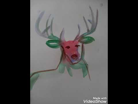 drawing for kids- deer