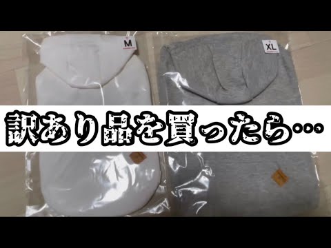 悲報【訳あり品】犬服を買ったら