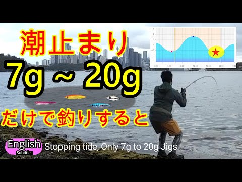 When stop tide , can we catch fish by using a light, small metal jig? [Super Light Shore Jigging]