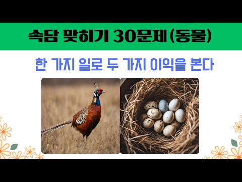 동물속담퀴즈 30문제 ｜ 출연 동물을 영상으로 확인하세요 ~ ｜ 그림 연상 동물 속담 퀴즈