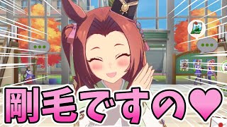 【ウマ娘】剛毛すぎて髪型変えれなかった新衣装カワカミ【カワカミプリンセス】ホーム会話まとめ