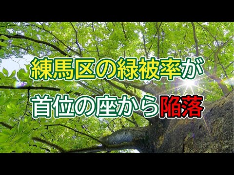 【練馬区】東京23区１位を誇っていた練馬区の緑被率が首位の座から陥落