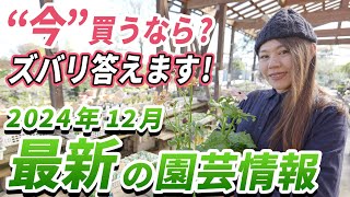 【冬の最新情報】年末までに買って欲しい“おすすめ”園芸情報をご紹介します♪【初心者向け】【ガーデニング】【園芸チャンネル】