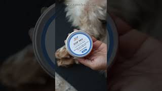 Paw protection wax from Zoof Pets(LINK IN DESCRIPTION)#shorts#dogshorts#cutedogs#dogcare#dogproducts