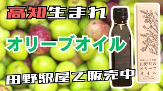 高知生まれのオリーブオイル！ 田野町で作られる話題の商品に注目！