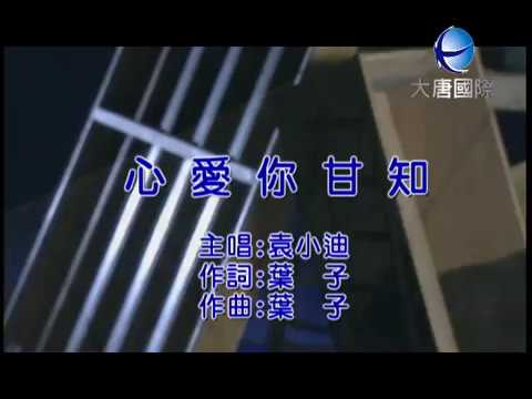 袁小迪 - 心愛你甘知 【KTV 導唱字幕】