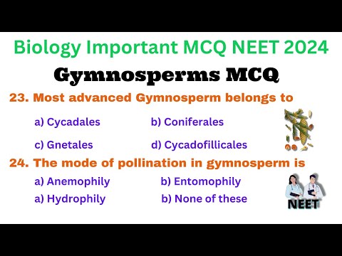 Gymnosperm MCQ | Plant Kingdom MCQ | Biology MCQ For All Competitive Exams | NEET 2024