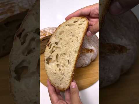 4-Ingredient Artisan Style Bread | Easy & No-Knead🥖#recipe #baking #asmr