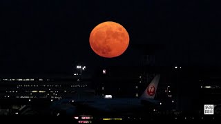 【4K】満月の「中秋の名月」　羽田空港から（10倍速）