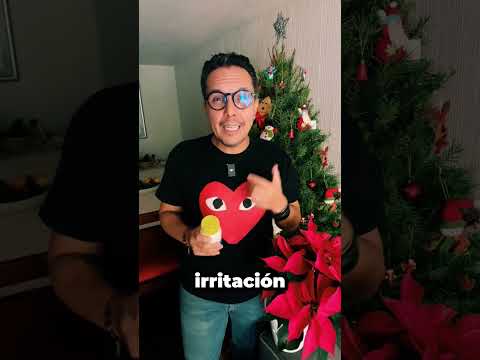 🎄🪅Las nochebuenas son tóxicas para los perritos, cuidado si las muerden.