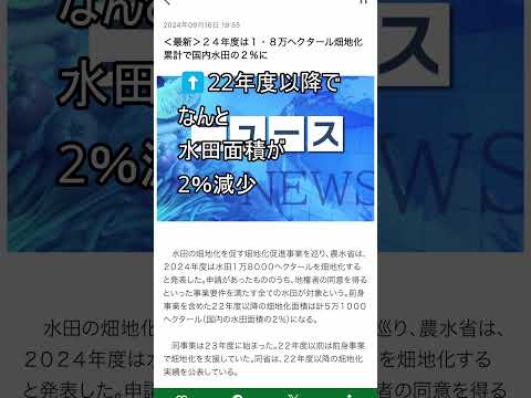 水田やめたら金が出る!? このままじゃ来年も、米不足？？ #米禁止 #米騒動  #米 #令和の米騒動