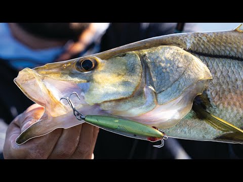 Which Lure Catches MORE Fish - Hard or Soft Plastic?