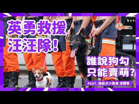 英勇救援汪汪隊！誰說狗勾只能賣萌?  feat. 搜救犬小隊長凌國智【哈寵小學堂】｜#哈寵PETube 第291集