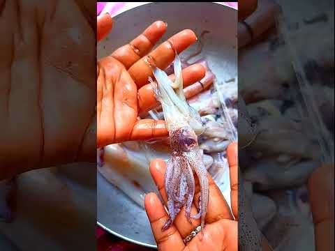 கணவாய் மீன் ஈசி அ சுத்தம் செய்வோமா😊, How to clean squid, #shorts, #ஷார்ட்ஸ்,