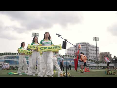 2024/06 AFC Cranes Cheerleaders