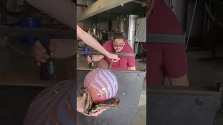 Crafting a HUGE Teardrop Vase!  #satisfying #glassblowing#craft #craftsman #asmr #art  #glassart